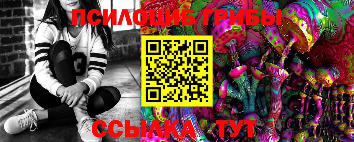 Псилоцибиновые грибы мицелий Чебаркуль